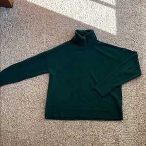 J. Crew Cashmere Oversized Turtleneck Sweater 🐢